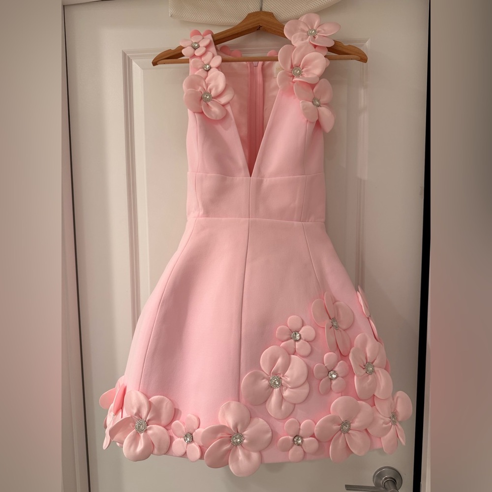 NWOT BRONX AND BANCO Estelle Blush Mini Dress ,Elegant Pink Floral Dress - Picture 6 of 15